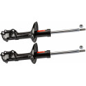 Set ammortizzatori TRW JGM1365T