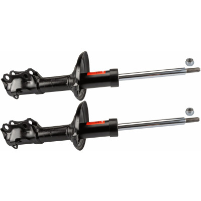 Set di (2) ammortizzatori TRW JGM1365T