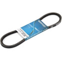 Cinghia trapezoidale DAYCO 13A0800C