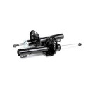 Set ammortizzatori TRW JGM306T
