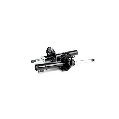 Set di (2) ammortizzatori TRW JGM306T