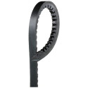 Cinghia trapezoidale GATES 6460MC