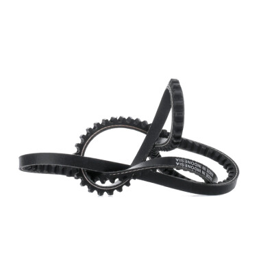 Cinghia trapezoidale DAYCO 10A1025C