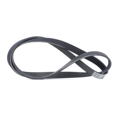 Cinghia trapezoidale scanalata DAYCO 5 PK 1250