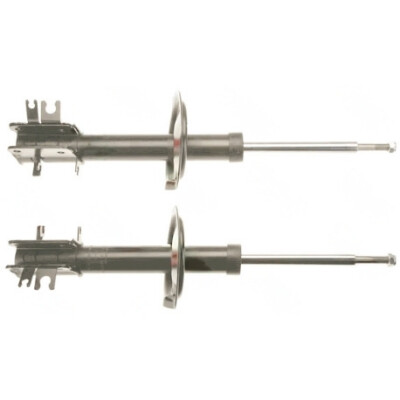 Set di (2) ammortizzatori TRW JGM1147T