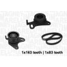 Kit cinghie dentate