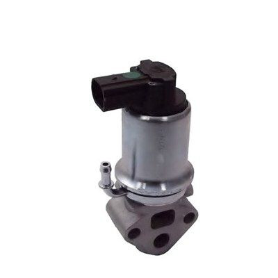 Valvola ricircolo gas scarico-EGR