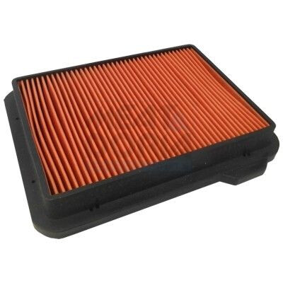 Filtro aria MEAT &amp; DORIA 18125