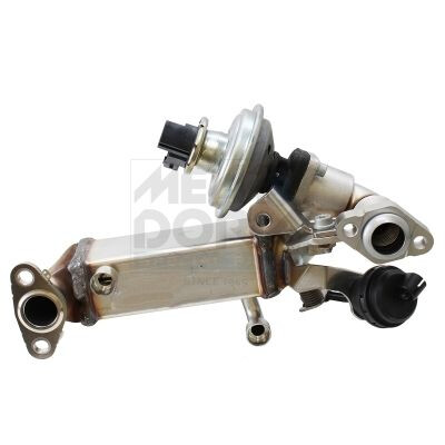 Modulo EGR