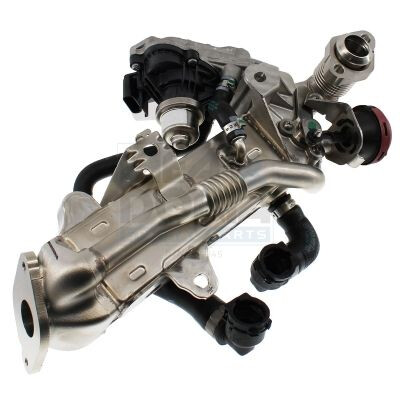 Modulo EGR