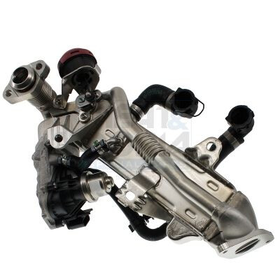 Modulo EGR
