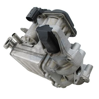 Modulo EGR