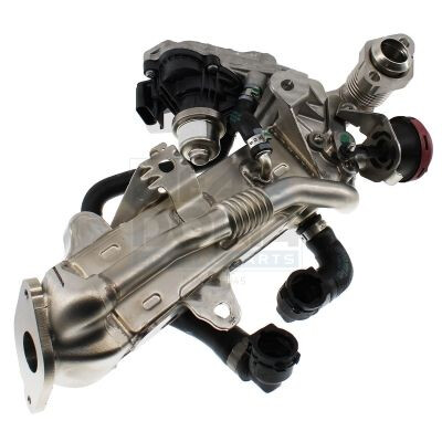 Modulo EGR