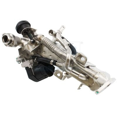 Modulo EGR
