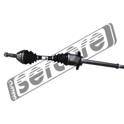 Albero motore/Semiasse