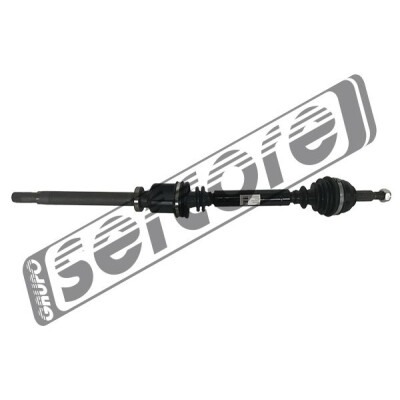 Albero motore/Semiasse