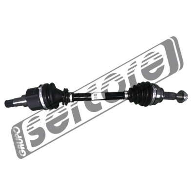 Albero motore/Semiasse