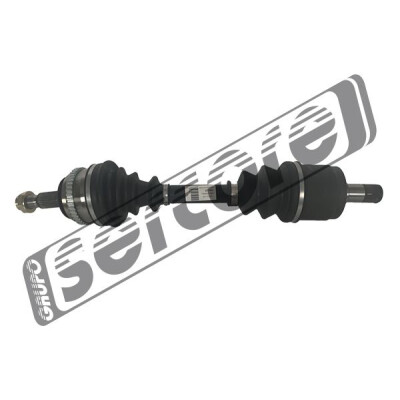 Albero motore/Semiasse