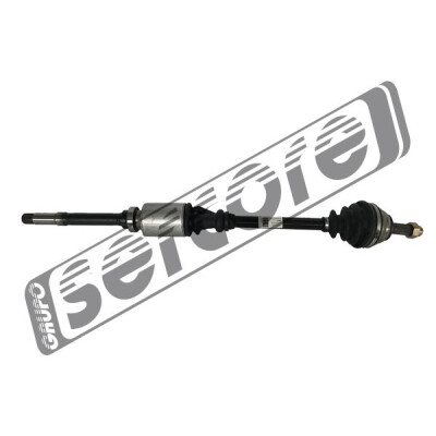 Albero motore/Semiasse