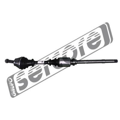 Albero motore/Semiasse