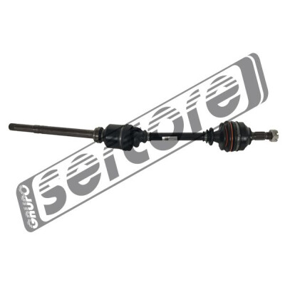 Albero motore/Semiasse