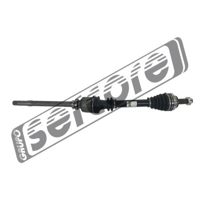Albero motore/Semiasse