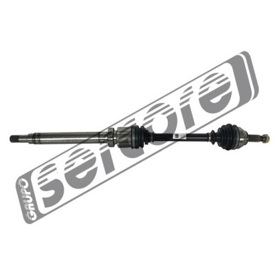 Albero motore/Semiasse