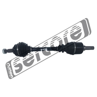 Albero motore/Semiasse