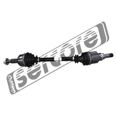 Albero motore/Semiasse