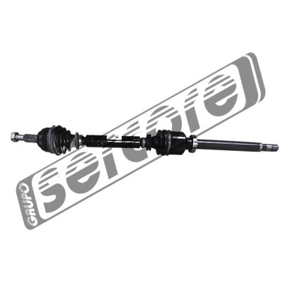 Albero motore/Semiasse