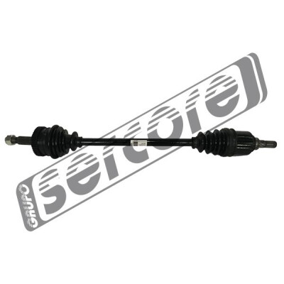 Albero motore/Semiasse