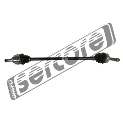 Albero motore/Semiasse