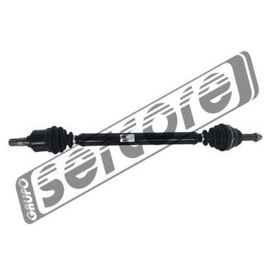Albero motore/Semiasse