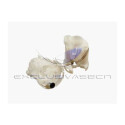 Filtro carburante MDR MFF-3234