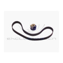Kit cinghie dentate
