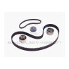 Kit cinghie dentate