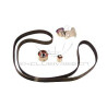 Kit cinghie dentate