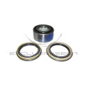 Kit cuscinetto ruota
