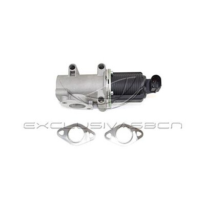 Valvola ricircolo gas scarico-EGR