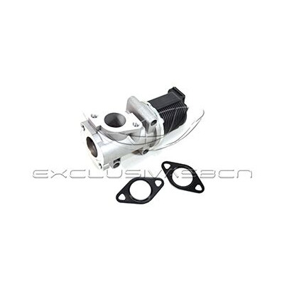 Valvola ricircolo gas scarico-EGR