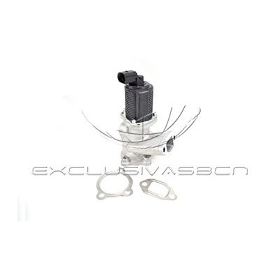 Valvola ricircolo gas scarico-EGR