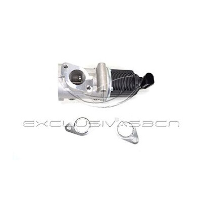 Valvola ricircolo gas scarico-EGR