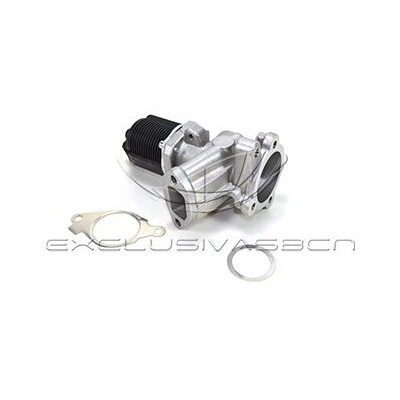 Valvola ricircolo gas scarico-EGR