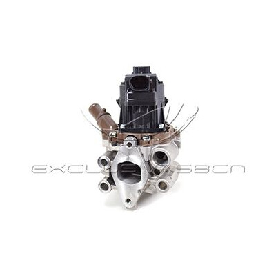 Valvola ricircolo gas scarico-EGR