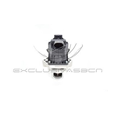 Valvola ricircolo gas scarico-EGR