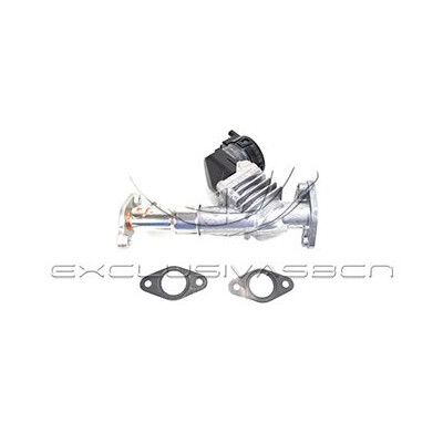 Valvola ricircolo gas scarico-EGR