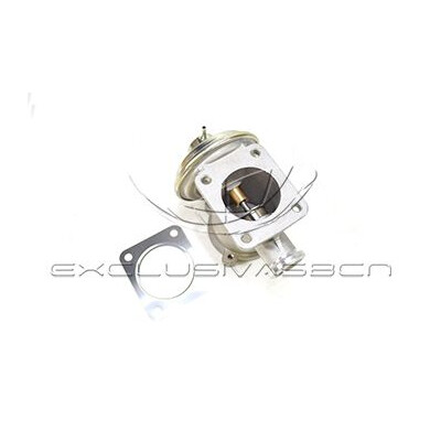 Valvola ricircolo gas scarico-EGR