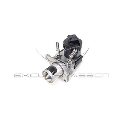 Valvola ricircolo gas scarico-EGR