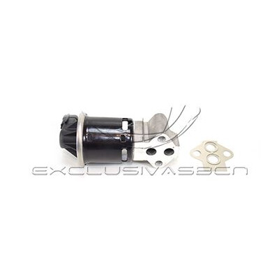 Valvola ricircolo gas scarico-EGR