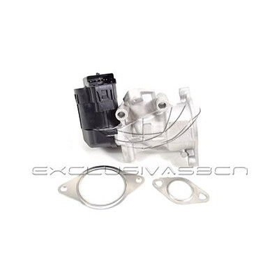 Valvola ricircolo gas scarico-EGR